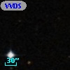 VVDS 220101621