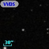 VVDS 220102777