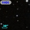 VVDS 220103803
