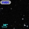 VVDS 220105346