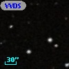 VVDS 220108343