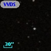 VVDS 220108906