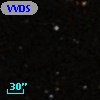 VVDS 220109451