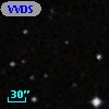 VVDS 220110087