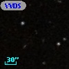 VVDS 220110990