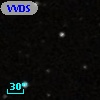 VVDS 220111023