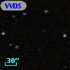 VVDS 220111695