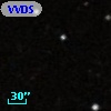 VVDS 220111783