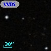 VVDS 220113105