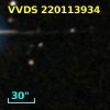 VVDS 220113934
