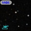 VVDS 220114495