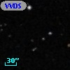 VVDS 220115489
