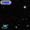 VVDS 220116165