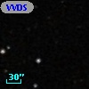 VVDS 220116335