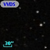 VVDS 220116589