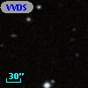 VVDS 220116784