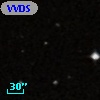 VVDS 220121291
