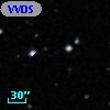 VVDS 220121796