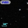 VVDS 220121917