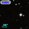 VVDS 220122784