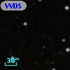 VVDS 220123256