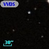 VVDS 220124427
