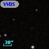 VVDS 220125736