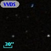 VVDS 220126499