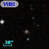 VVDS 220127566