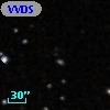 VVDS 220128316
