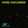 VVDS 220128566