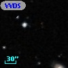 VVDS 220128962