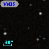 VVDS 220129524