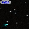VVDS 220129795