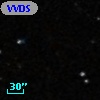 VVDS 220130187