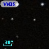 VVDS 220130386