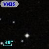 VVDS 220130535