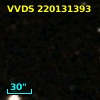 VVDS 220131393