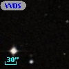 VVDS 220131529