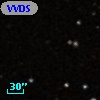 VVDS 220131651