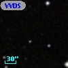 VVDS 220132705