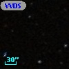 VVDS 220133261