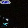 VVDS 220133317