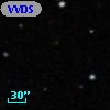 VVDS 220134100