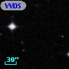 VVDS 220134213