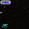 VVDS 220141861