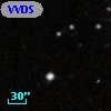 VVDS 220142369