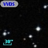 VVDS 220143194