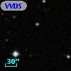 VVDS 220144564