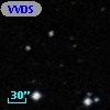 VVDS 220145291
